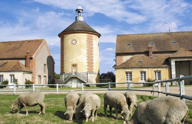 Cottage Au Coin Du Feu Rambouillet Ngoại thất bức ảnh